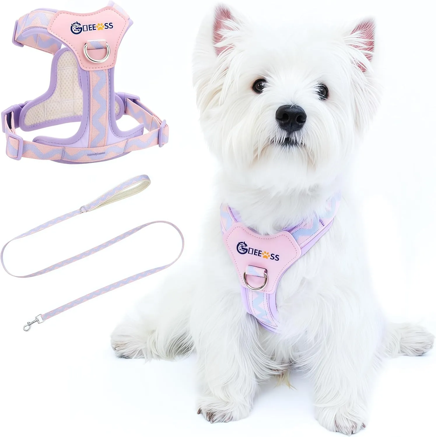 No Pull Dog Harness and Leash Set, Lightweight Frame No Choke Pet Harness, Double Buckle Adjustable Dog Vest for Small Medium Dogs Puppy (Purple, S)