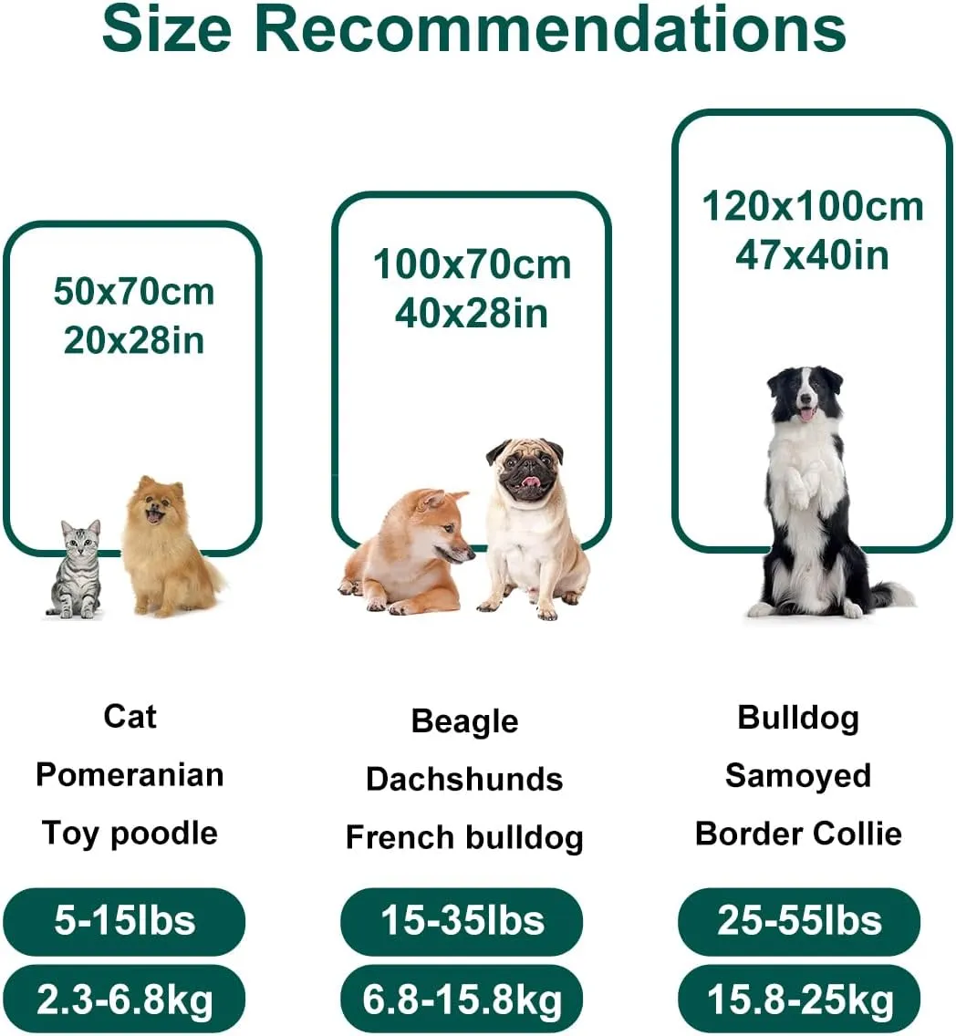 Onarway Dog Blanket Washable for Puppy: 4 Packs Dog Blankets 40x28 - Fluffy Soft Small Throw for Cat Puppy Kitten Dogs - Fleece Pet Blankets for Bed Sofa Car and Indoor - Lake Green and Purple