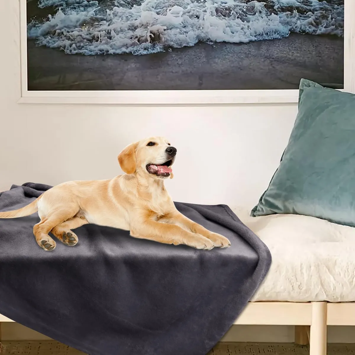 Onarway Dog Blanket Washable for Puppy: 4 Packs Dog Blankets 40x28 - Fluffy Soft Small Throw for Cat Puppy Kitten Dogs - Fleece Pet Blankets for Bed Sofa Car and Indoor - Lake Green and Purple