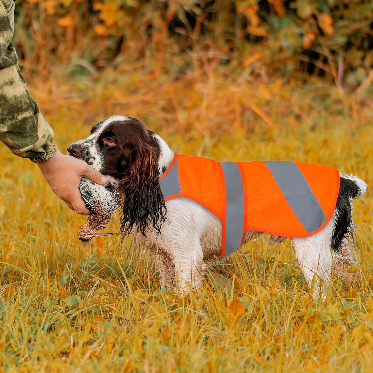 Orange Dog Vest - High Visibility Safety, Hunting, Soft Adjustable Reflective Jacket for Small to Large Dogs