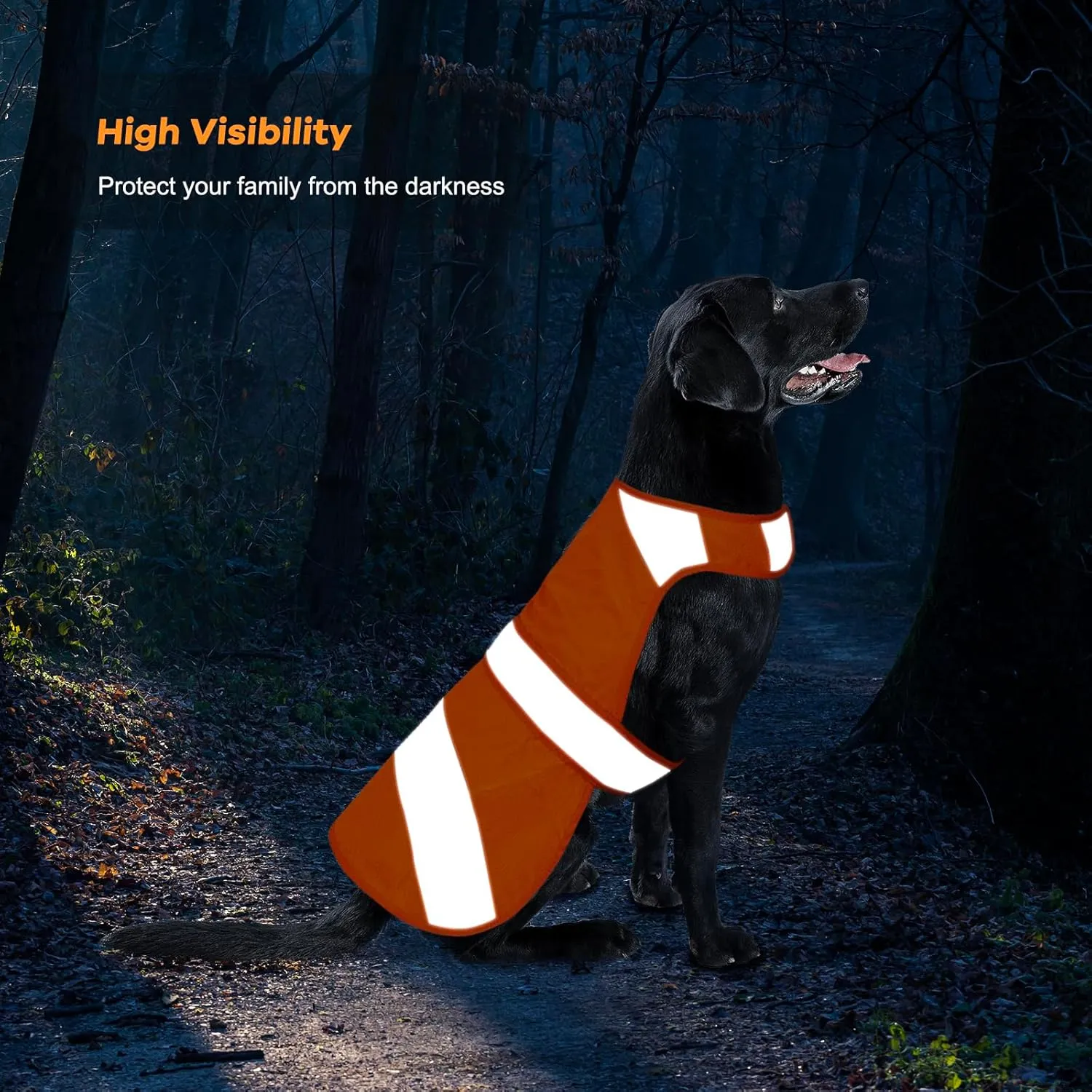 Orange Dog Vest - High Visibility Safety, Hunting, Soft Adjustable Reflective Jacket for Small to Large Dogs
