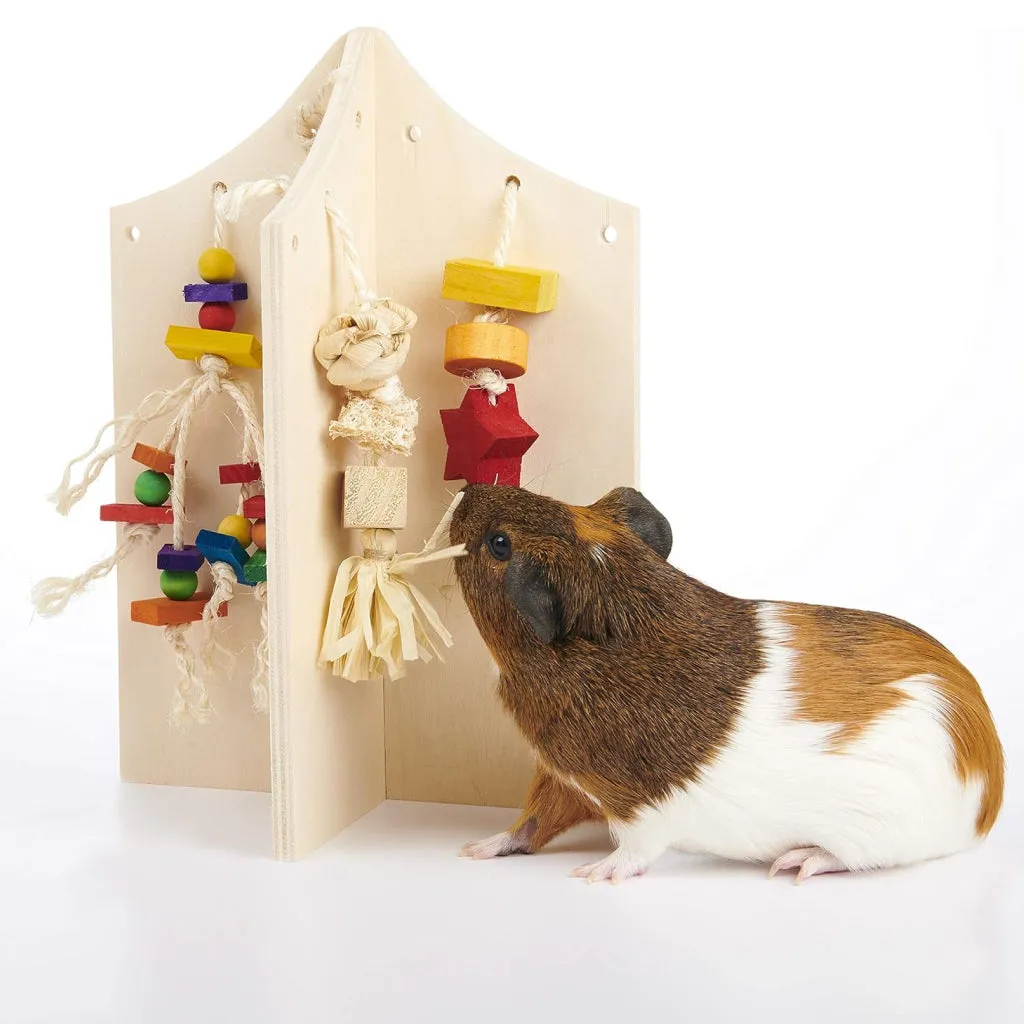 Oxbow Enriched Life Small Animal Play Center