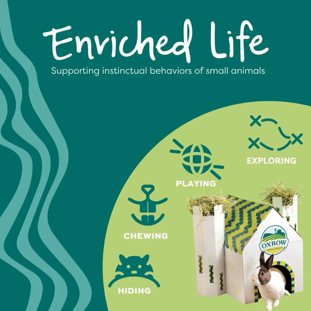 Oxbow Enriched Life Small Animal Play Center