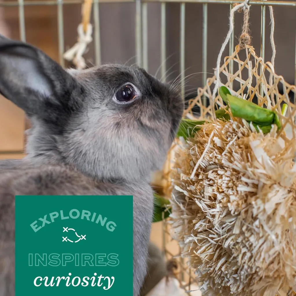 Oxbow Enriched Life Small Animal Play Center