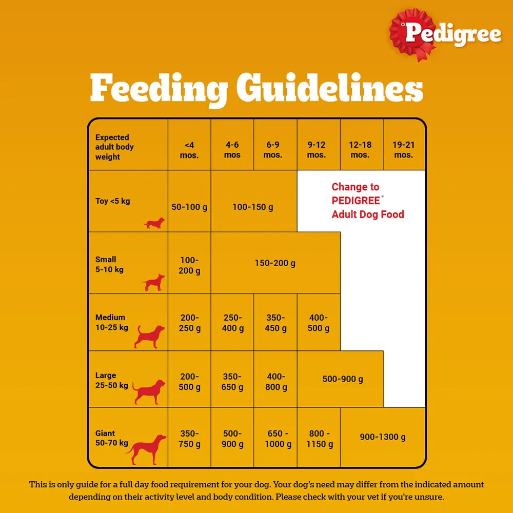 Pedigree Meat & Milk and Chicken Chunks in Gravy Puppy Dry and Wet Food Combo