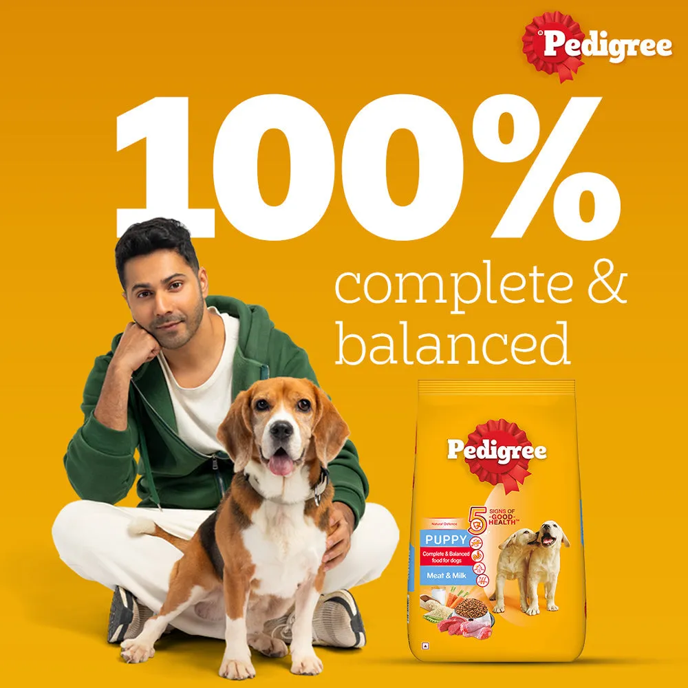 Pedigree Meat & Milk and Chicken Chunks in Gravy Puppy Dry and Wet Food Combo