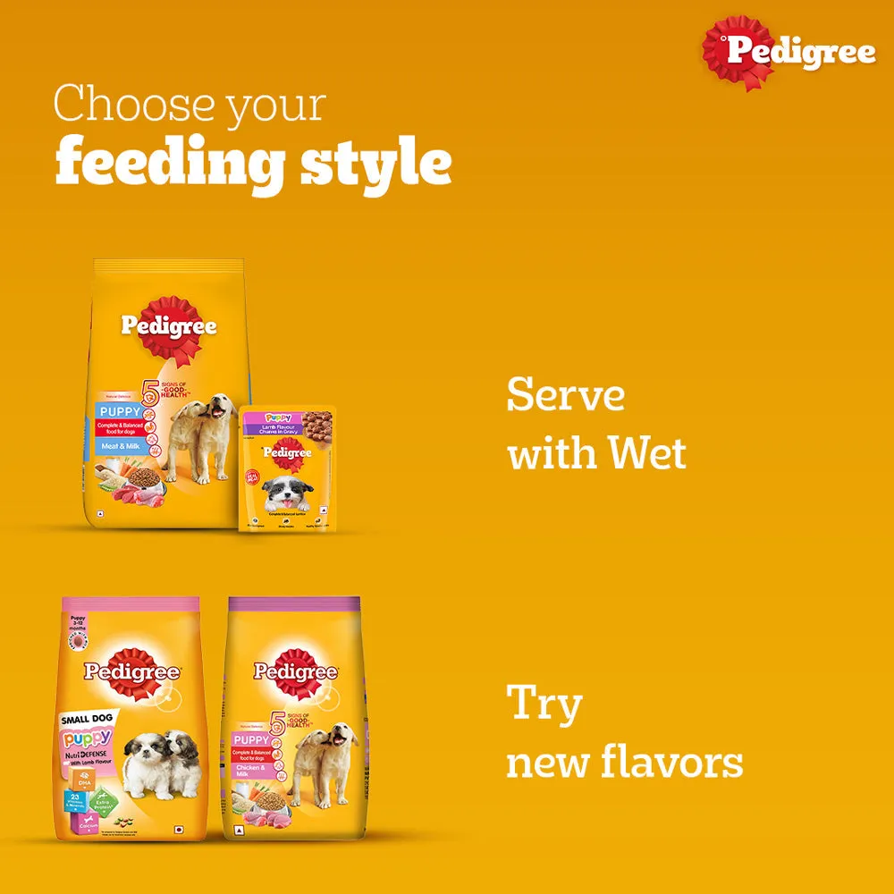 Pedigree Meat & Milk and Chicken Chunks in Gravy Puppy Dry and Wet Food Combo