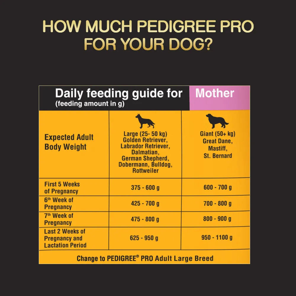 Pedigree PRO Expert Nutrition Lactating/Pregnant Mother & Puppy Starter(3 to 12 Weeks) Large Breed Dog Dry Food (Buy 1 Get 1) (Limited Shelf Life)