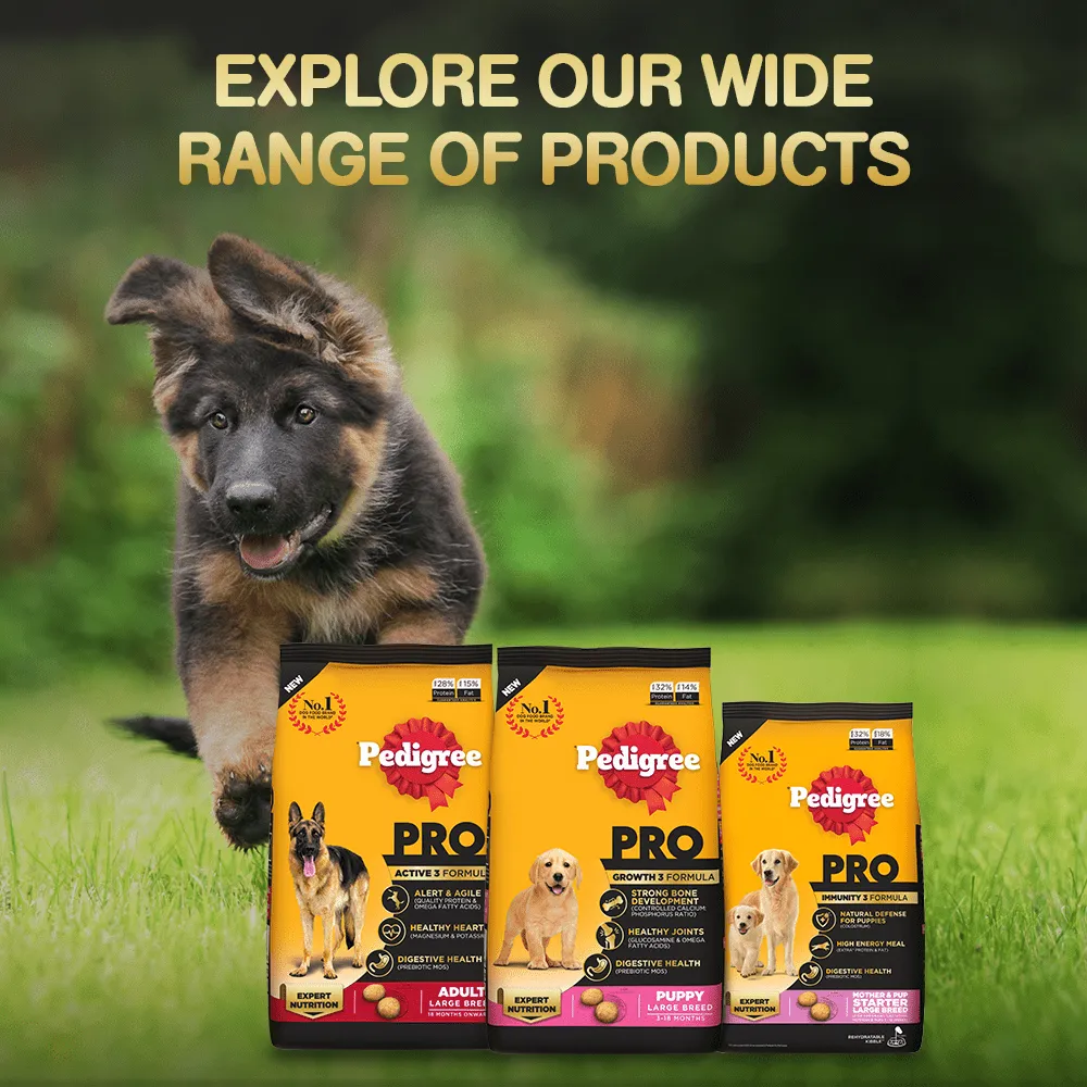 Pedigree PRO Expert Nutrition Lactating/Pregnant Mother & Puppy Starter(3 to 12 Weeks) Large Breed Dog Dry Food (Buy 1 Get 1) (Limited Shelf Life)