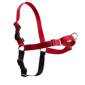 Pet Safe Easy Walk Harness