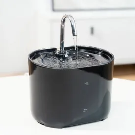 Pet Water Fountain