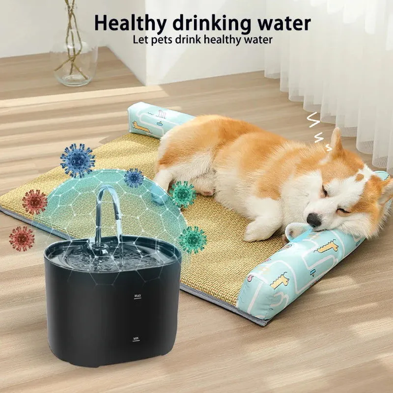 Pet Water Fountain