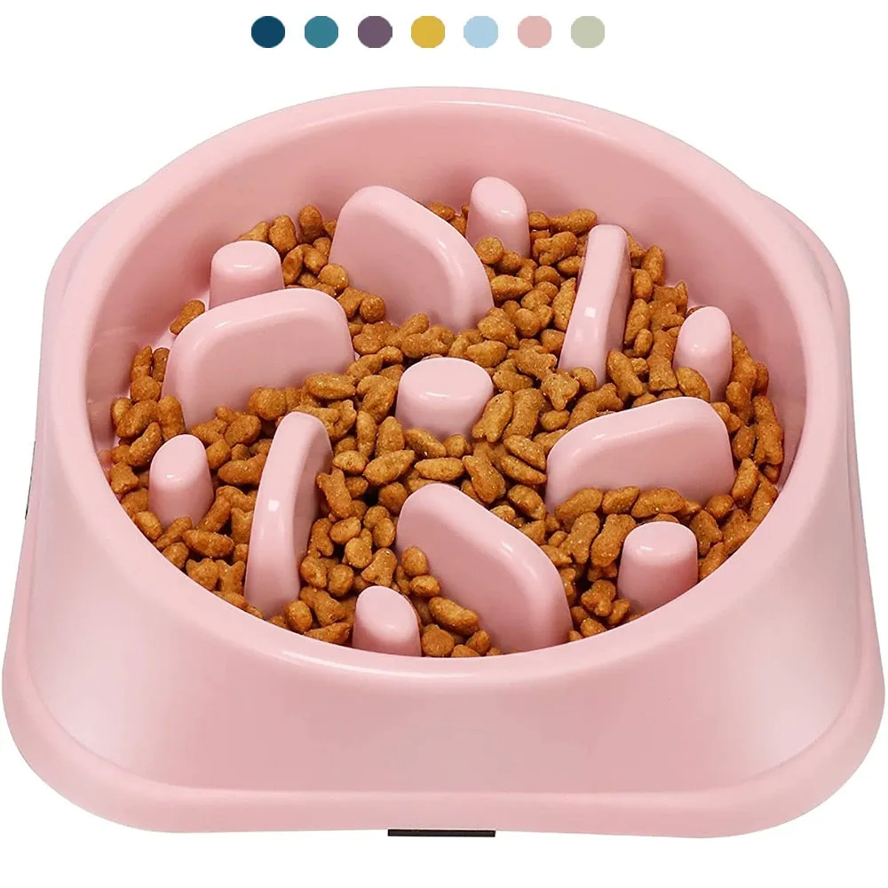 Pets Slow Feeder Dog Bowl