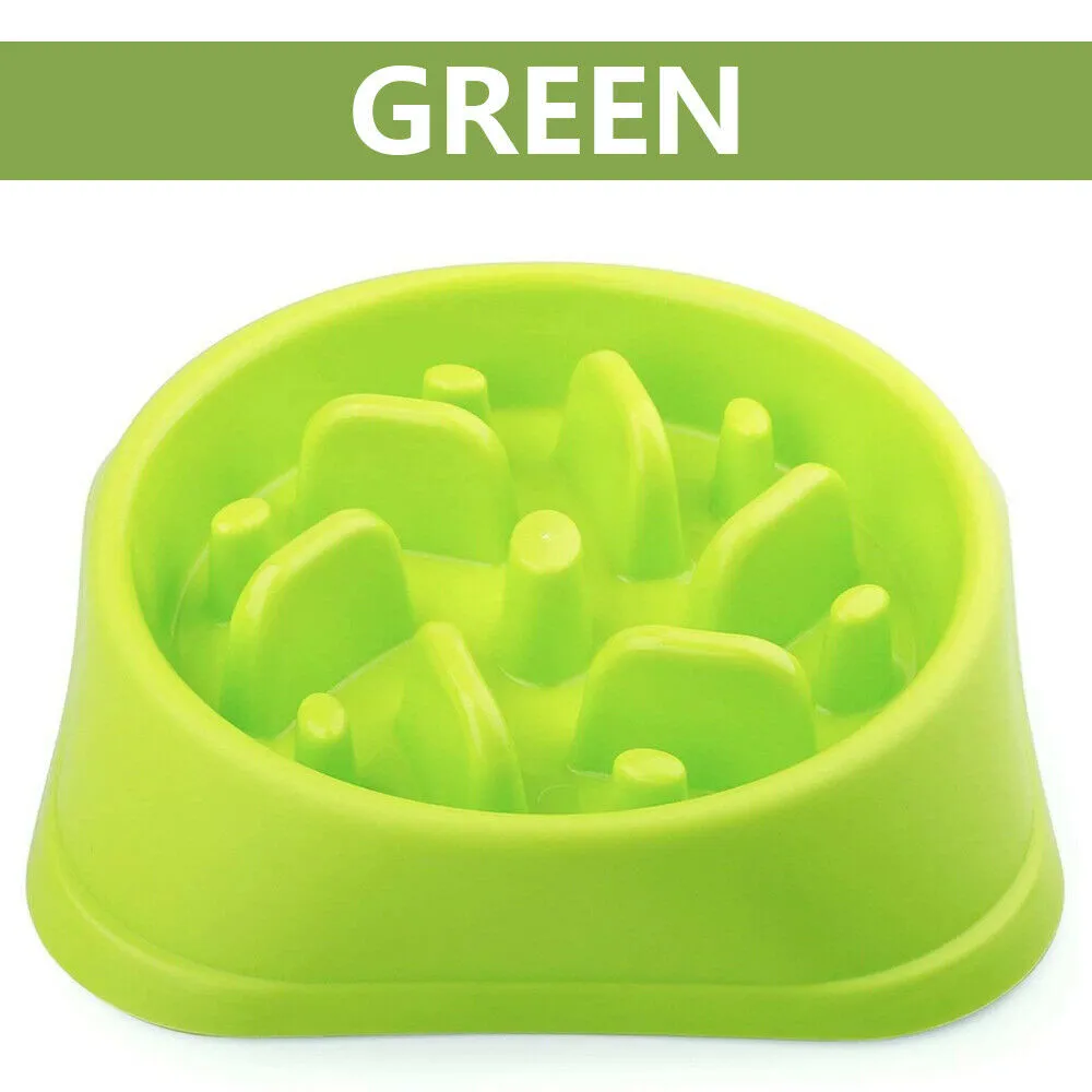 Pets Slow Feeder Dog Bowl