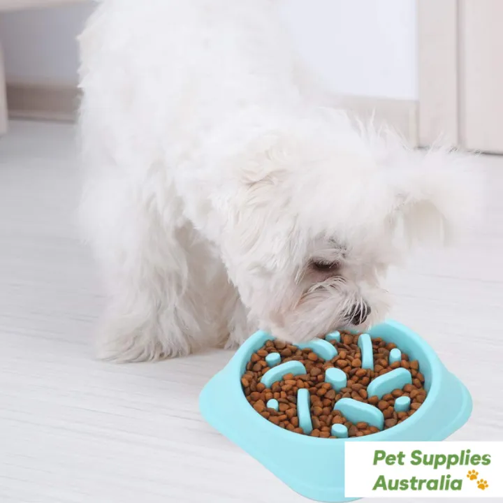 Pets Slow Feeder Dog Bowl
