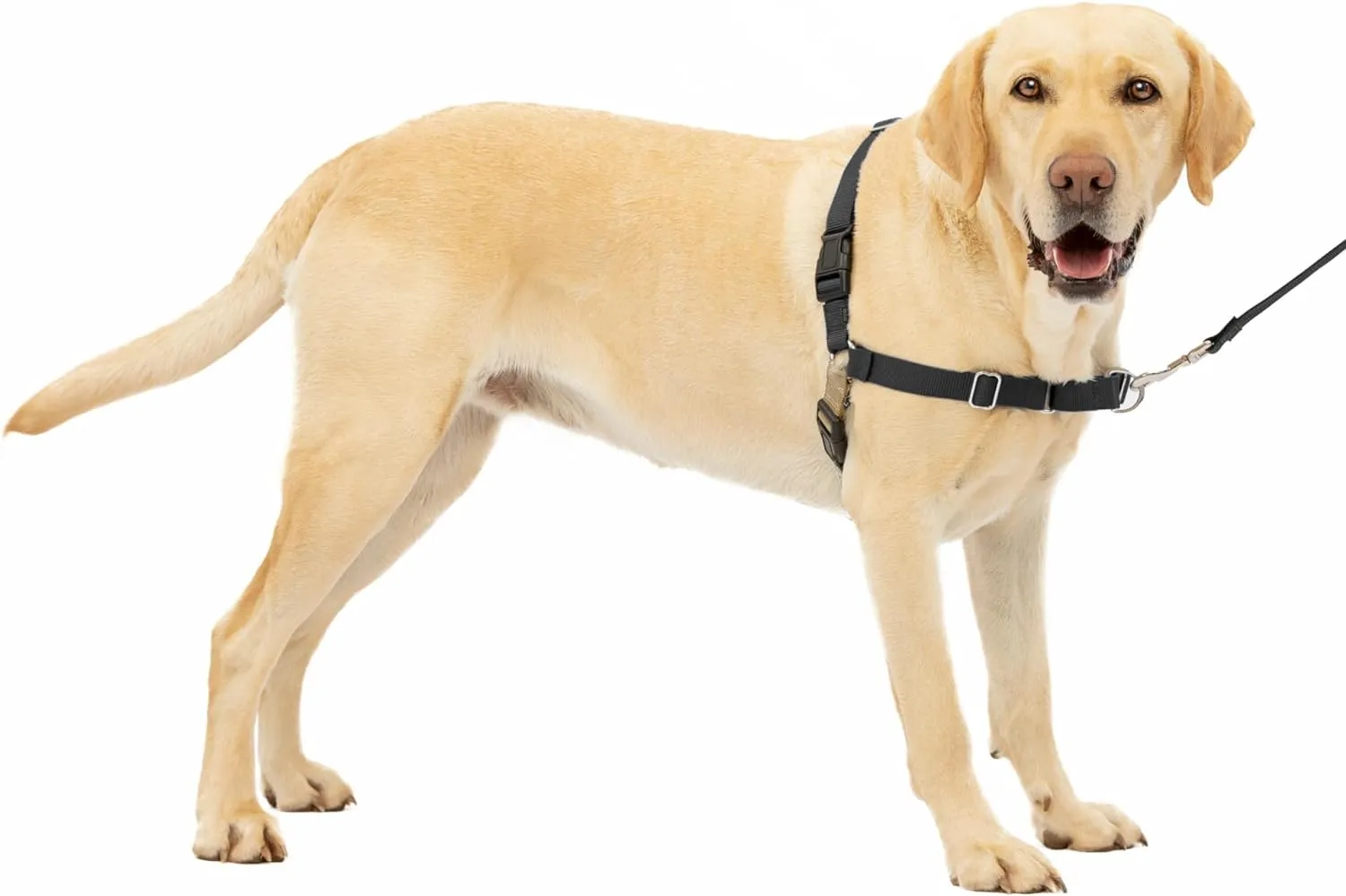 PetSafe Easy Walk® Harness, No Pull, Dog Harness