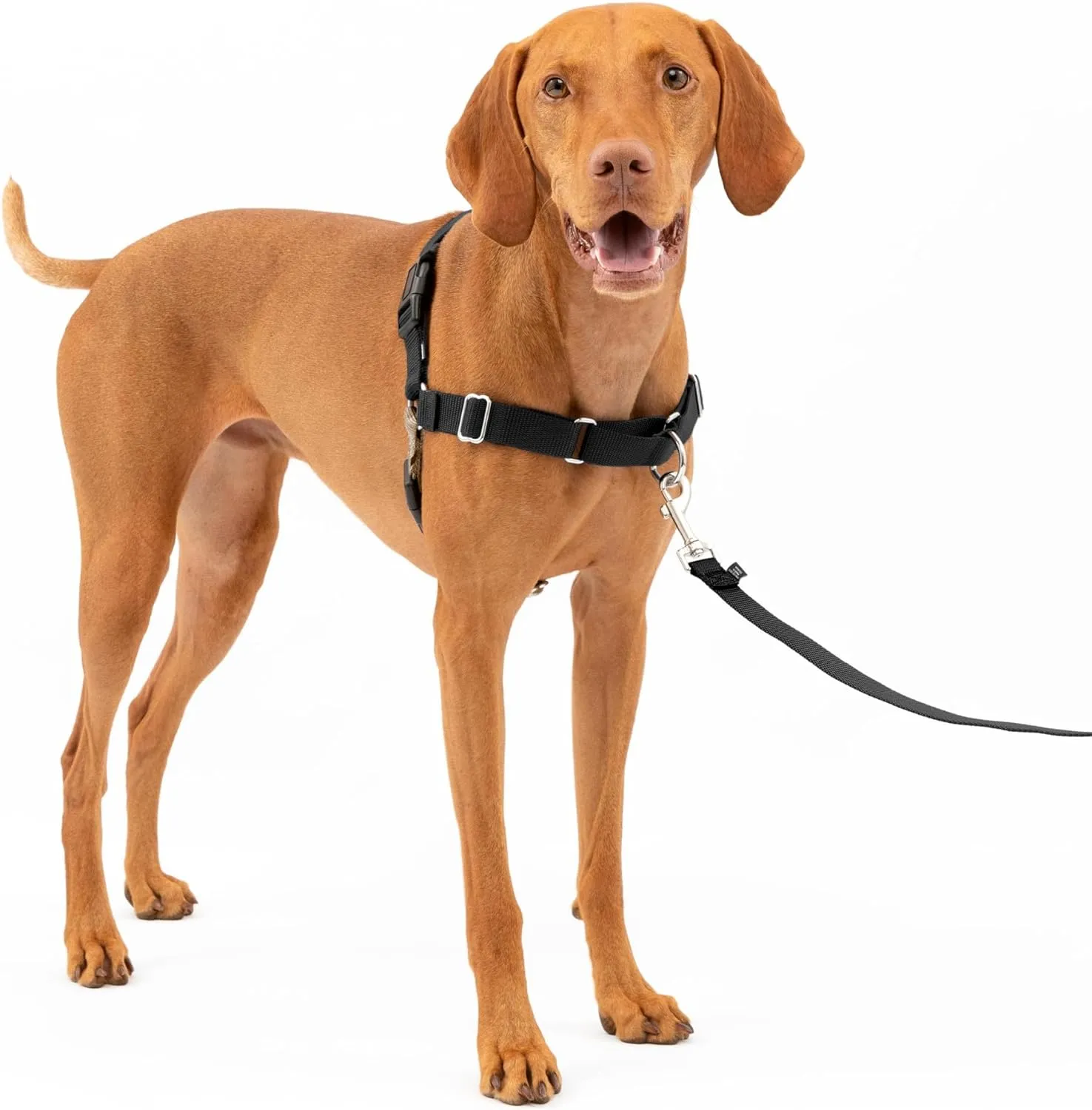 PetSafe Easy Walk® Harness, No Pull, Dog Harness