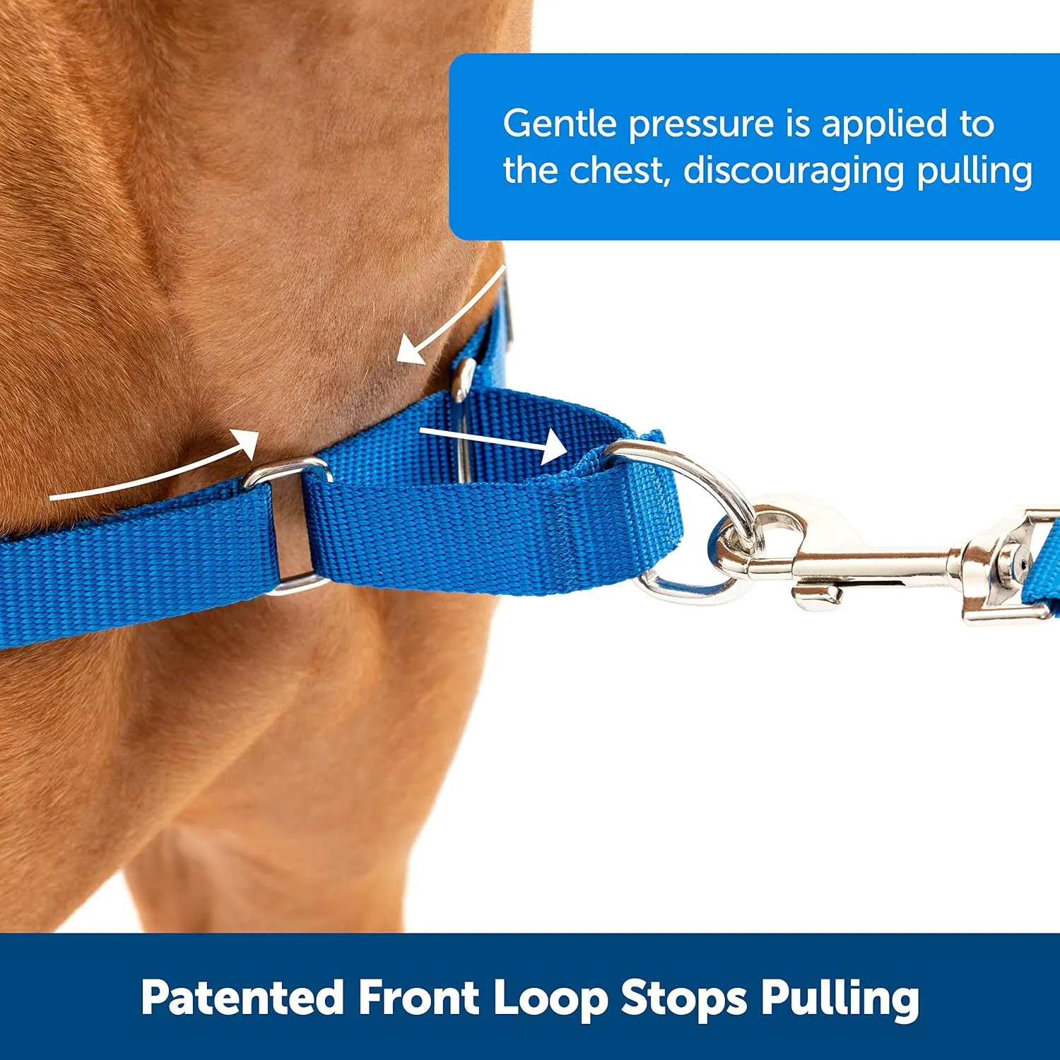 PetSafe Easy Walk® Harness, No Pull, Dog Harness
