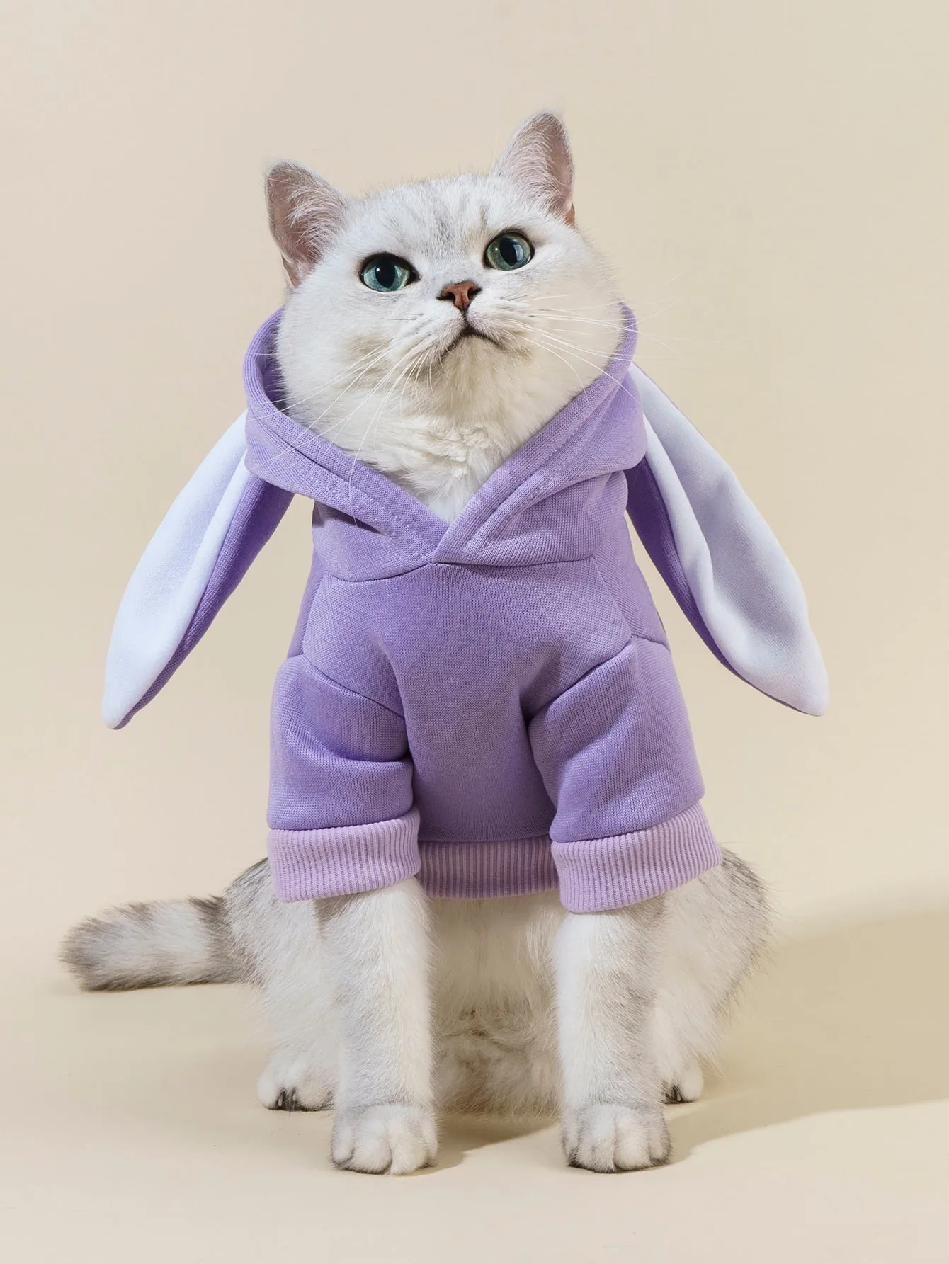 PETSIN Rabbit Ear Design Pet Hoodie