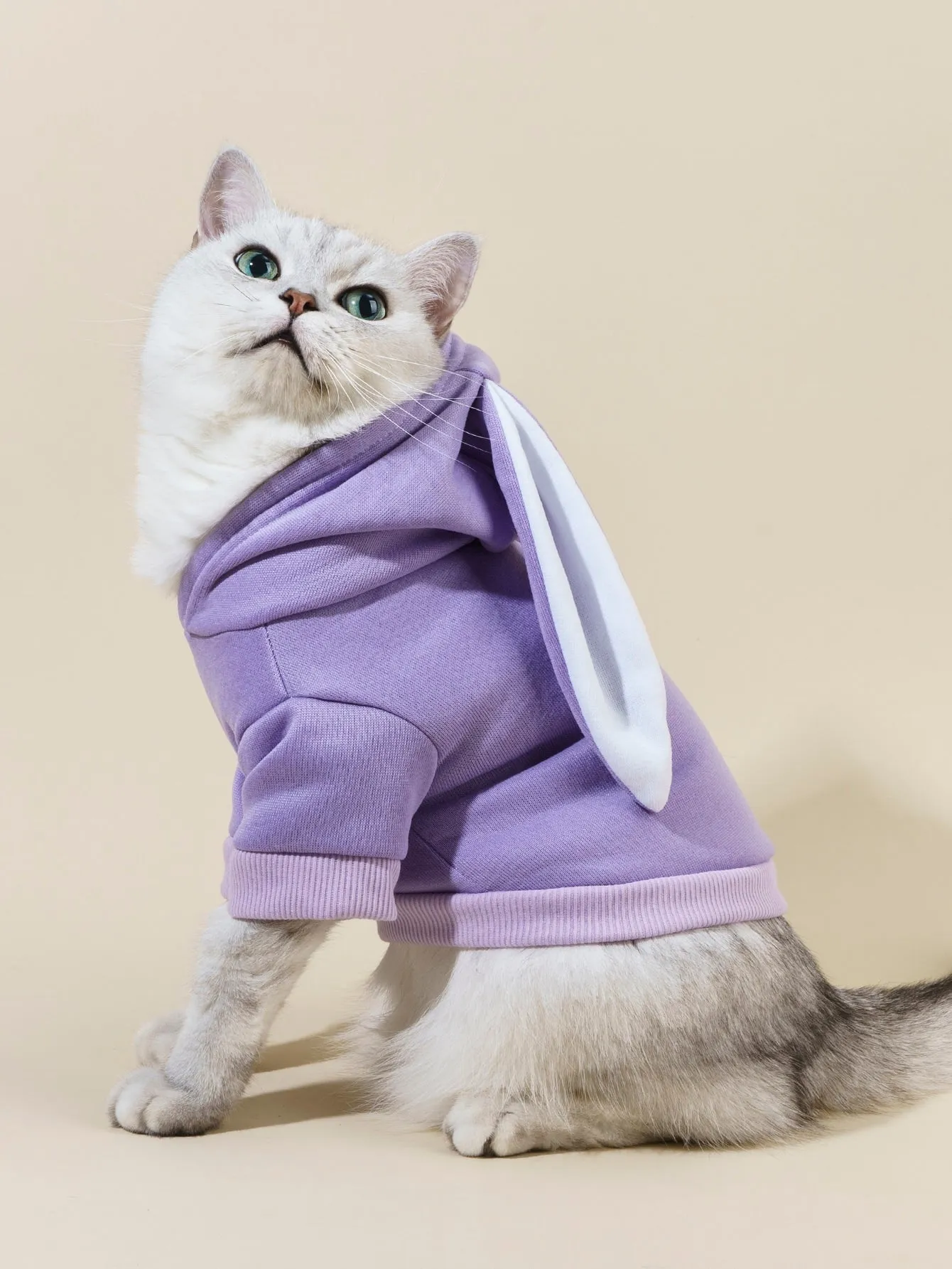 PETSIN Rabbit Ear Design Pet Hoodie