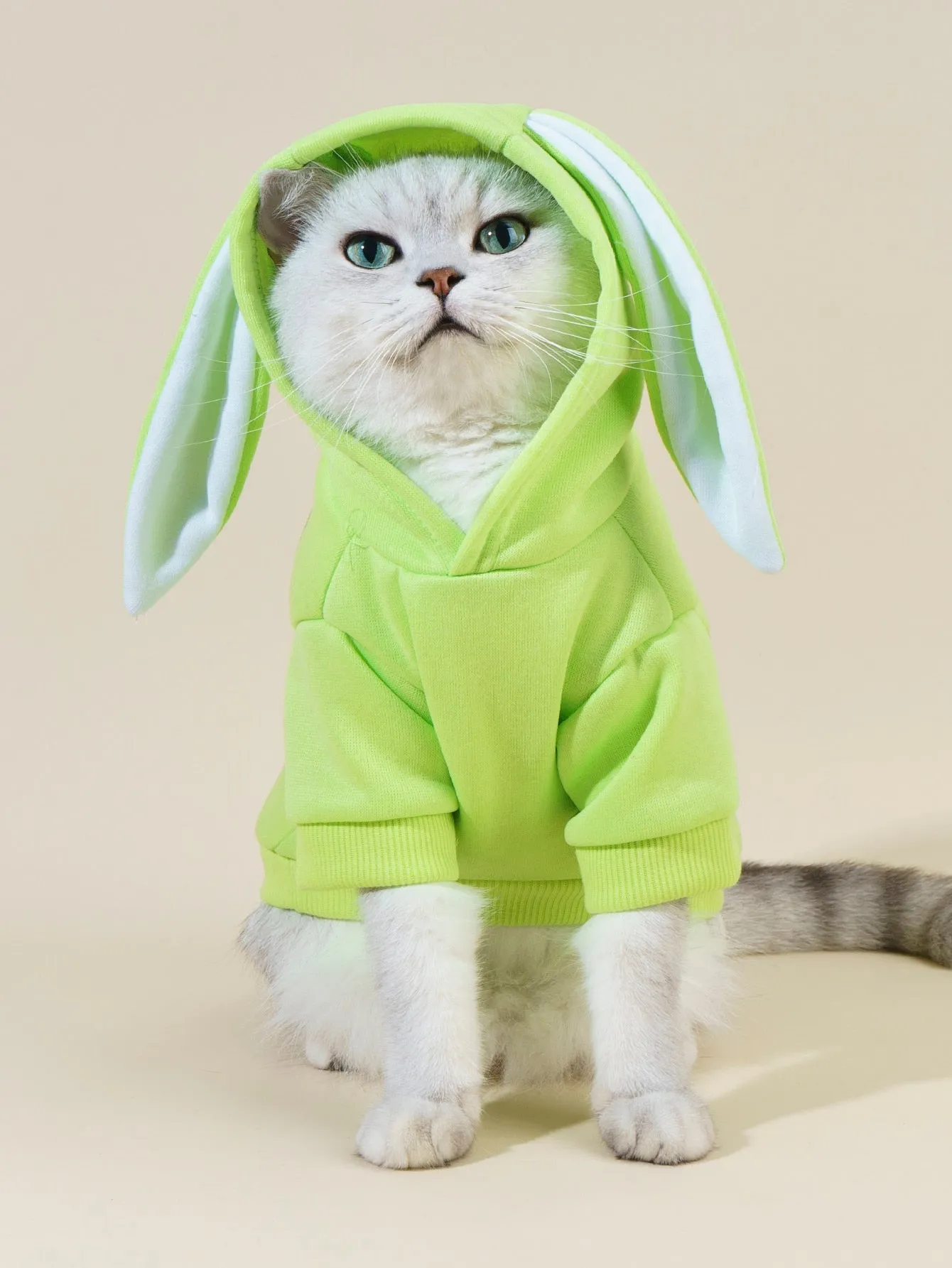 PETSIN Rabbit Ear Design Pet Hoodie