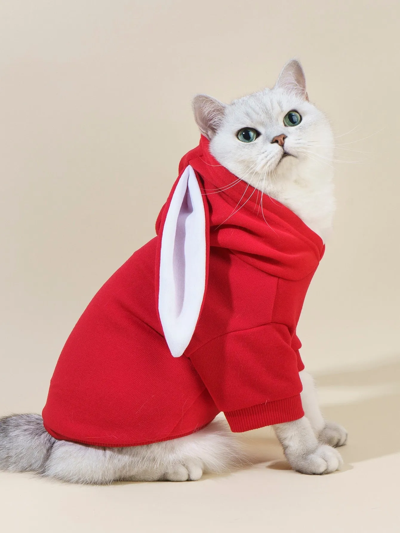 PETSIN Rabbit Ear Design Pet Hoodie