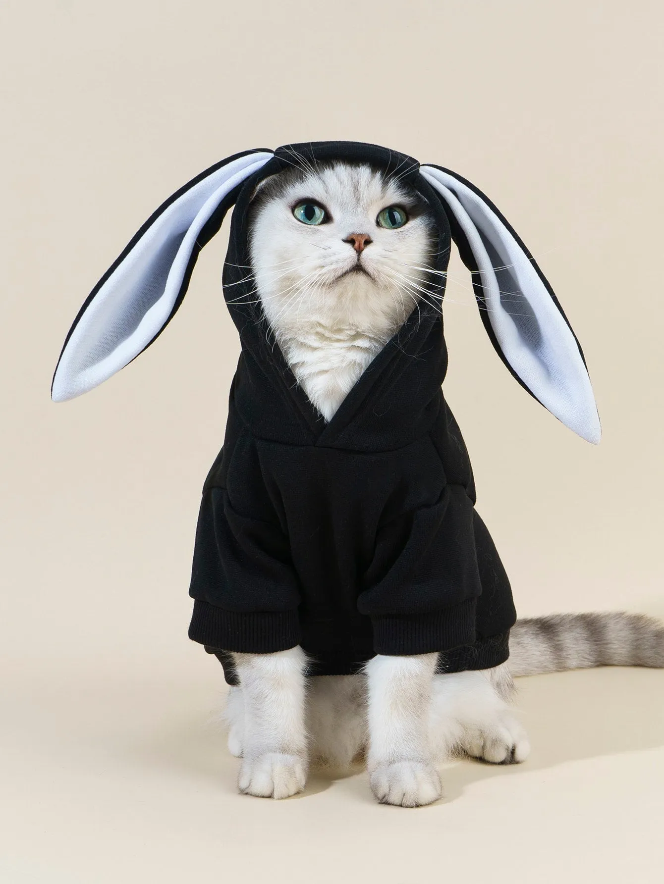 PETSIN Rabbit Ear Design Pet Hoodie