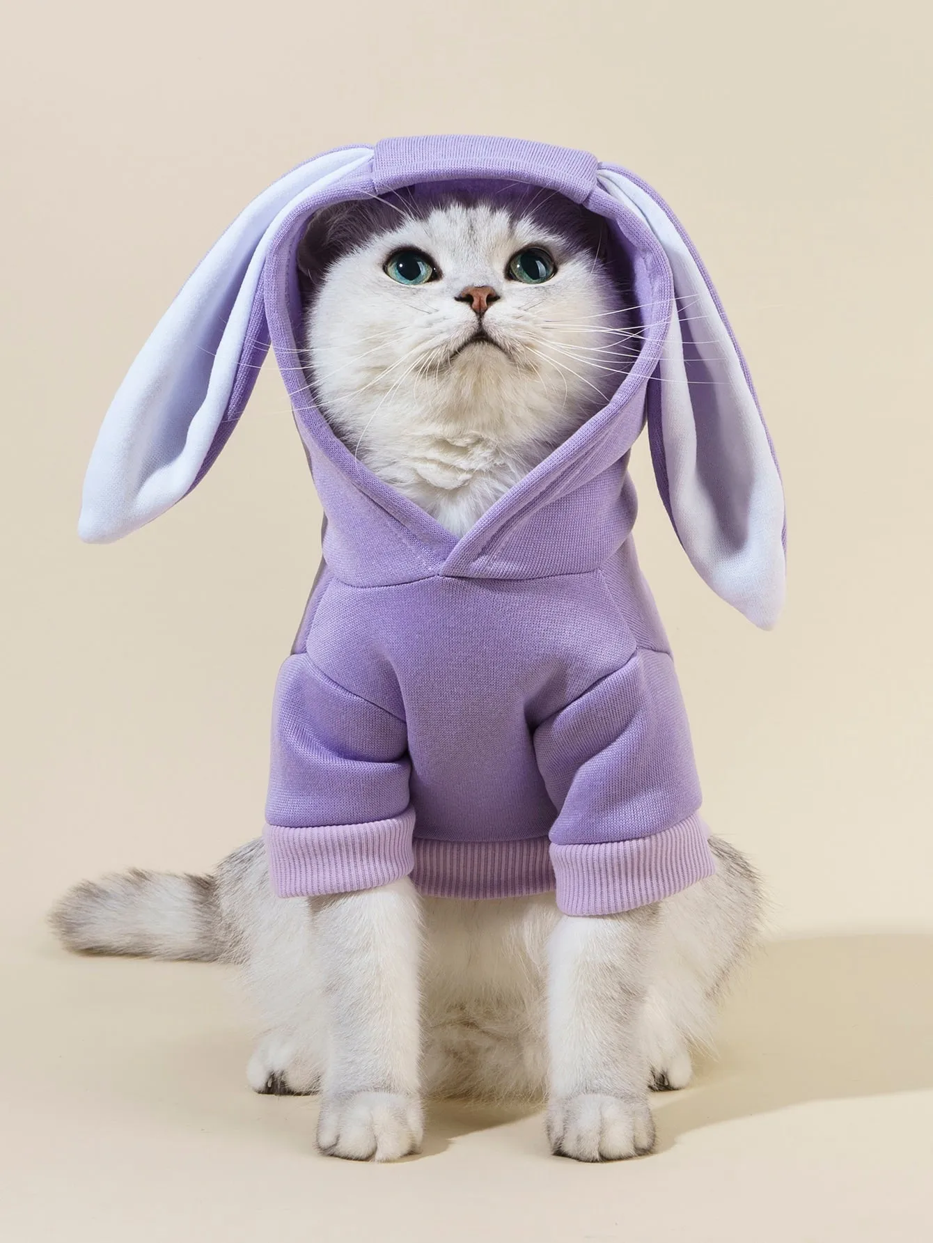 PETSIN Rabbit Ear Design Pet Hoodie