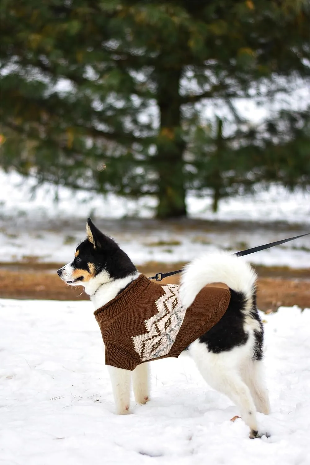 Queenmore Warm Dog Sweater, Soft Pet Knitwear, Knitted Pullover, Winter Pet Clothes for Small Medium Dogs Cats