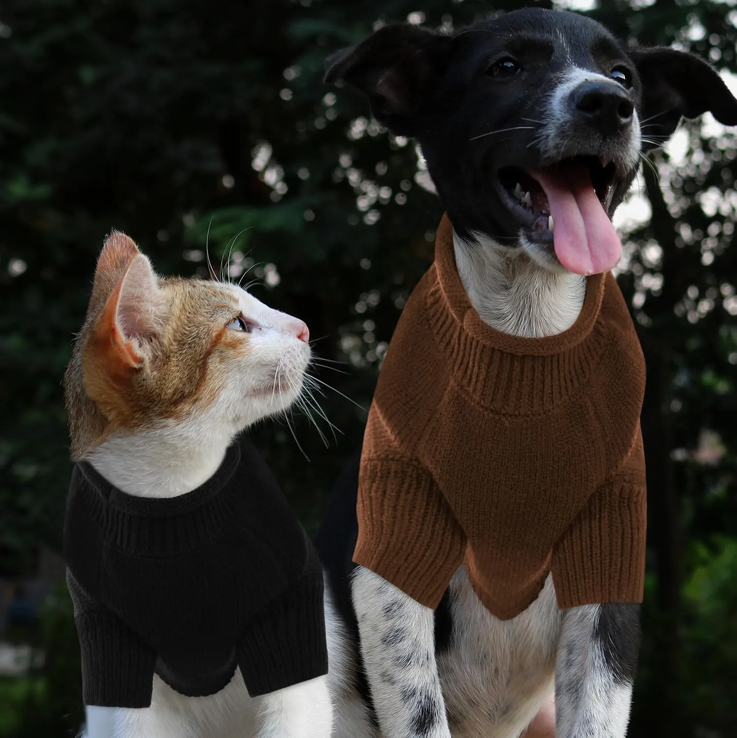 Queenmore Warm Dog Sweater, Soft Pet Knitwear, Knitted Pullover, Winter Pet Clothes for Small Medium Dogs Cats
