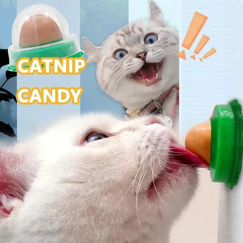 Round Catnip Ball with Dust Cover