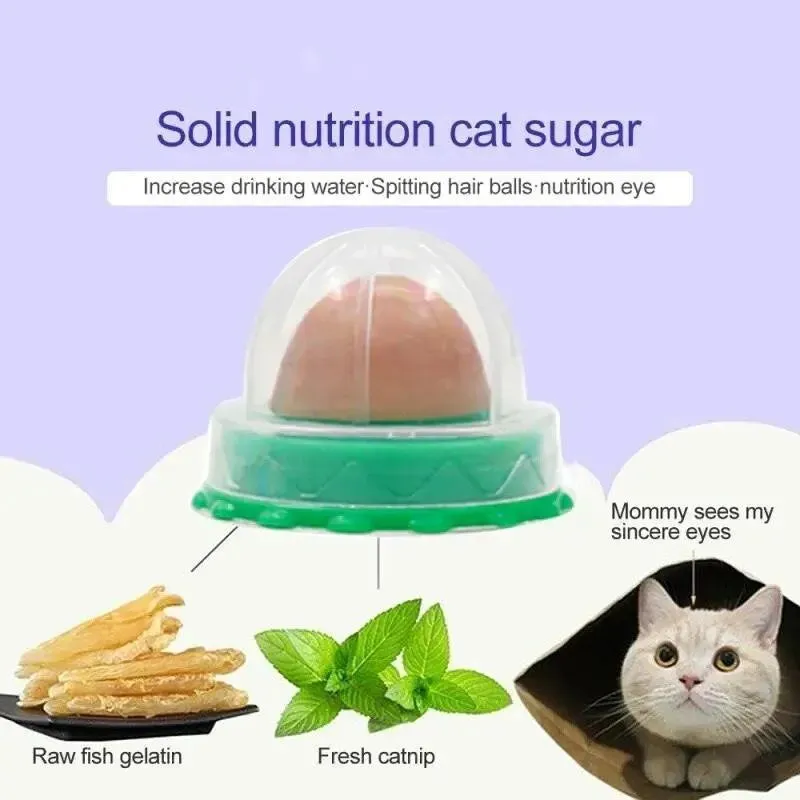 Round Catnip Ball with Dust Cover