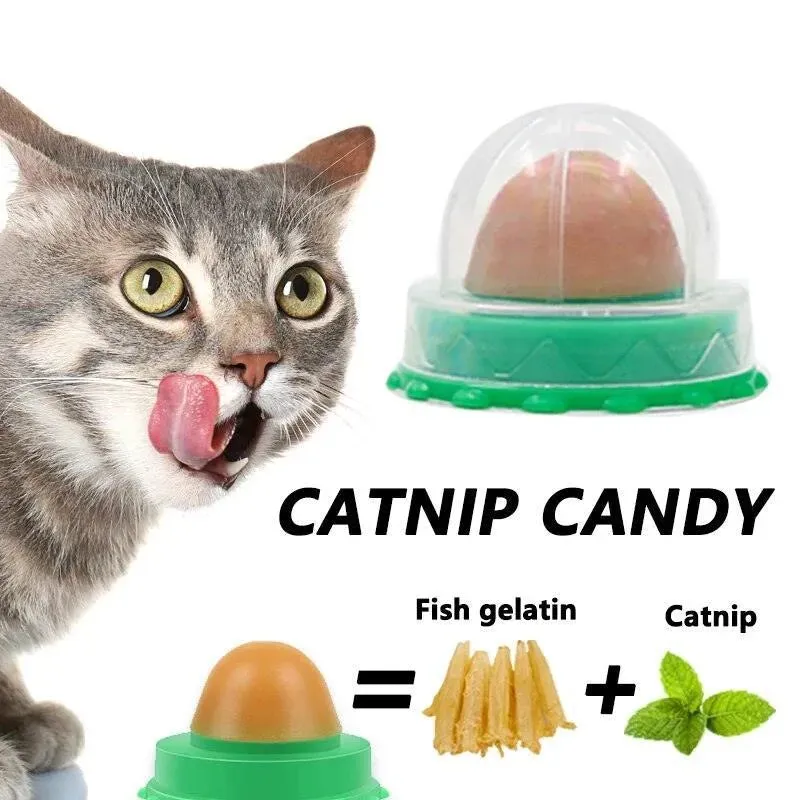 Round Catnip Ball with Dust Cover