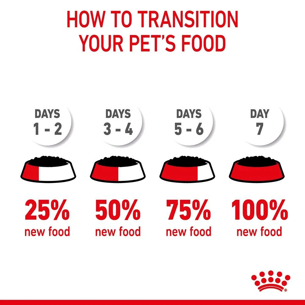 Royal Canin Appetite Control Jelly Adult Wet Cat Food Pouches