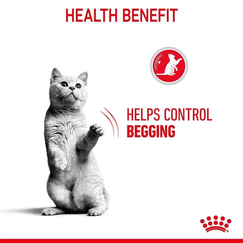Royal Canin Appetite Control Jelly Adult Wet Cat Food Pouches