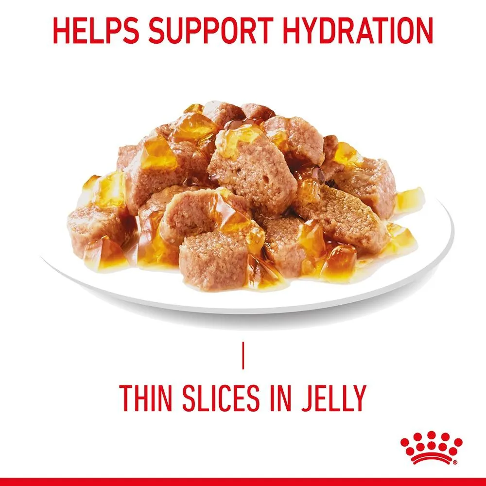 Royal Canin Appetite Control Jelly Adult Wet Cat Food Pouches