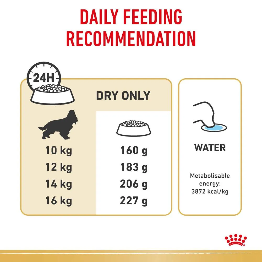 Royal Canin Cocker Spaniel Adult Dry Dog Food