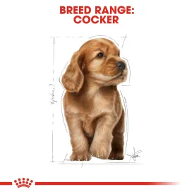 Royal Canin Cocker Spaniel Puppy Dry Dog Food