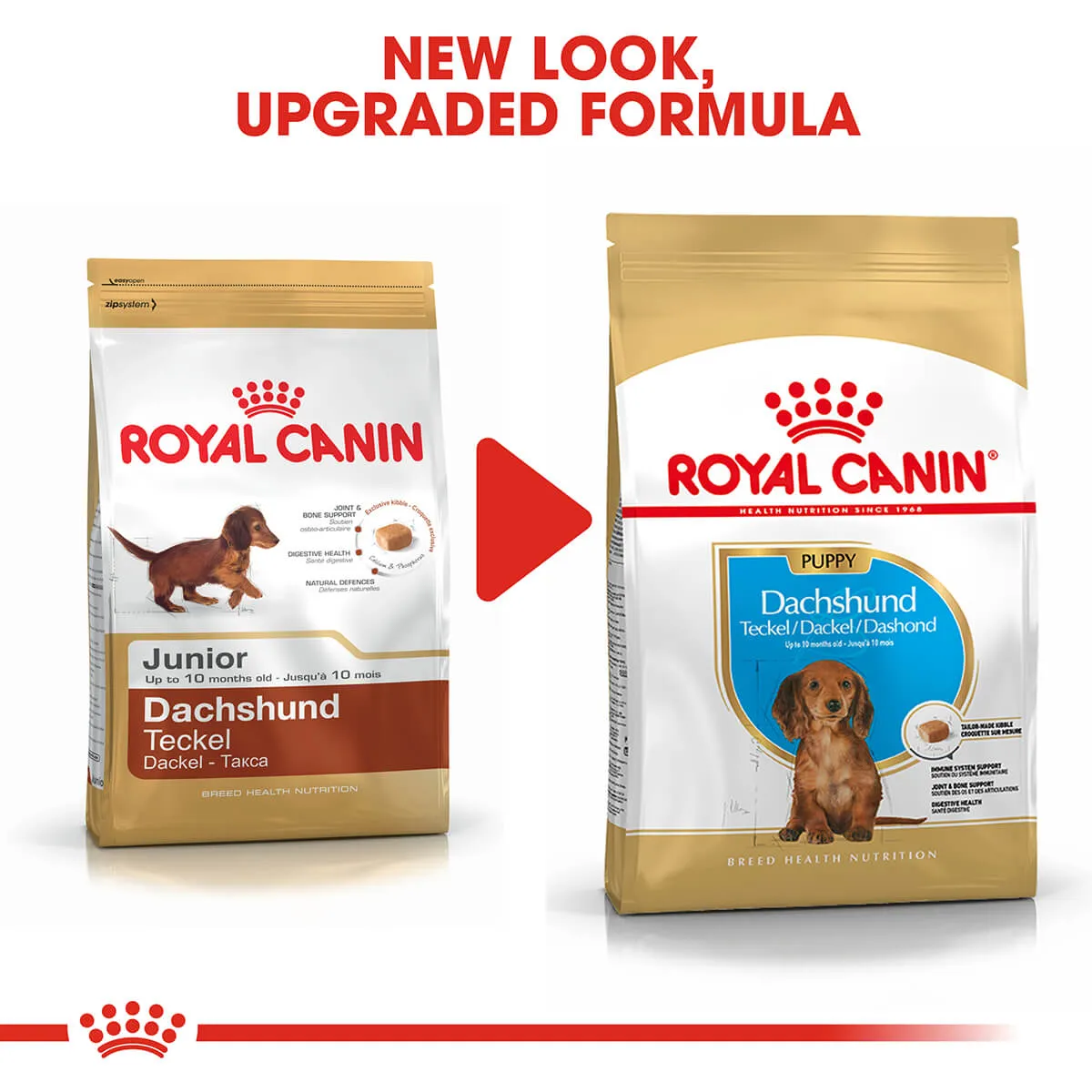 Royal Canin Dachshund Puppy Dry Dog Food 1.5kg