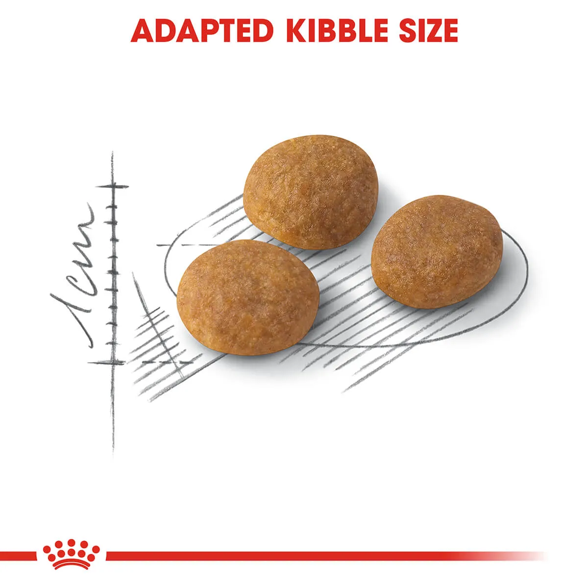 Royal Canin Exigent Aromatic Adult Dry Cat Food