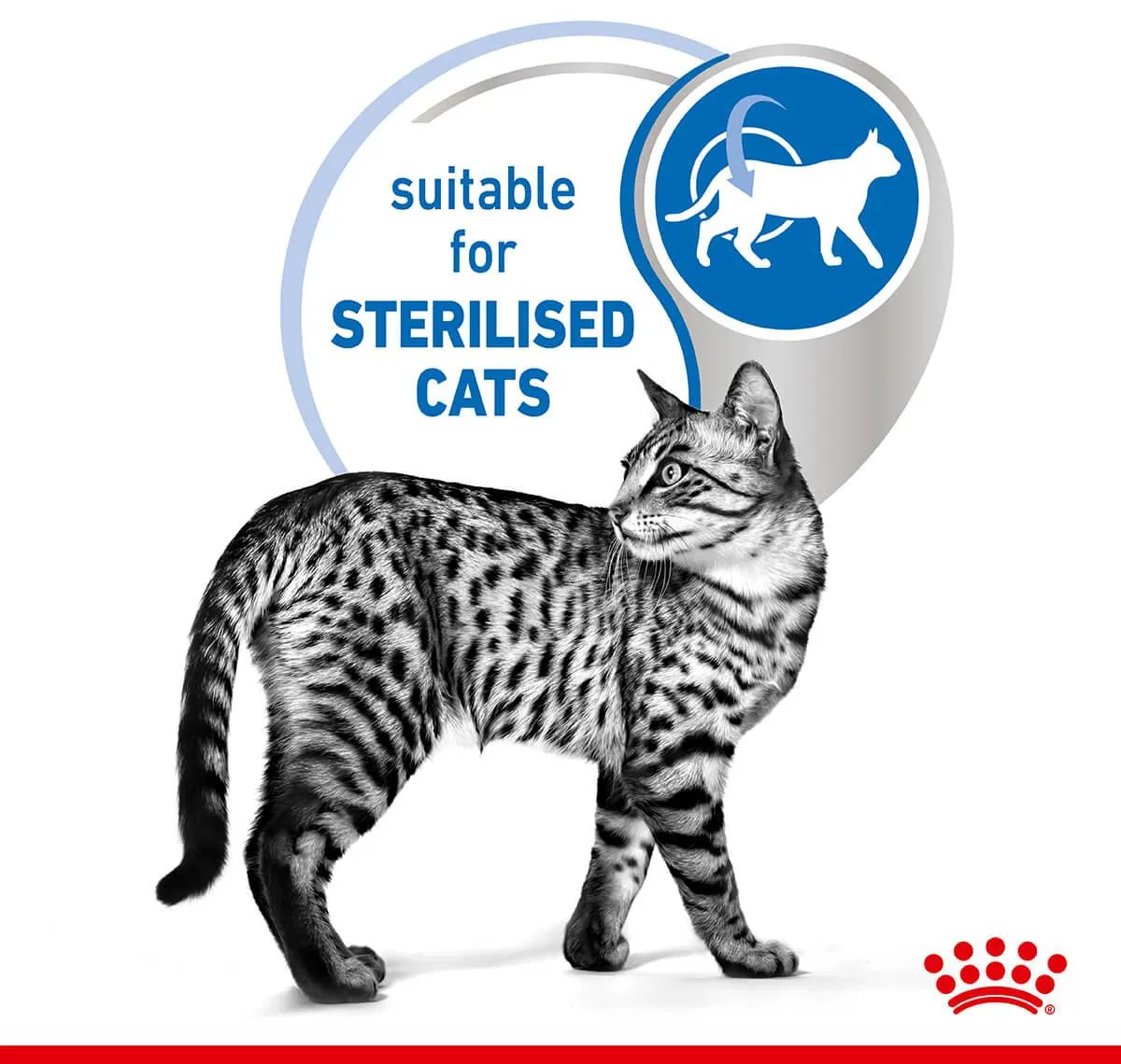 Royal Canin Indoor Gravy Wet Cat Food 85G