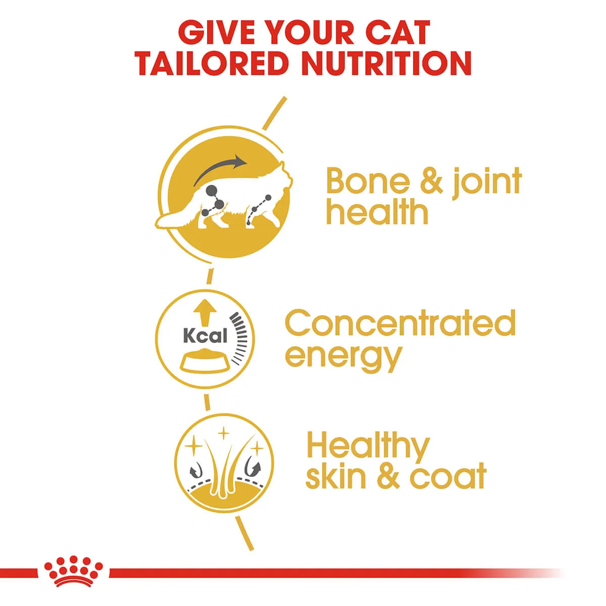 Royal Canin Maine Coon Adult In Gravy Wet Cat Food 85G
