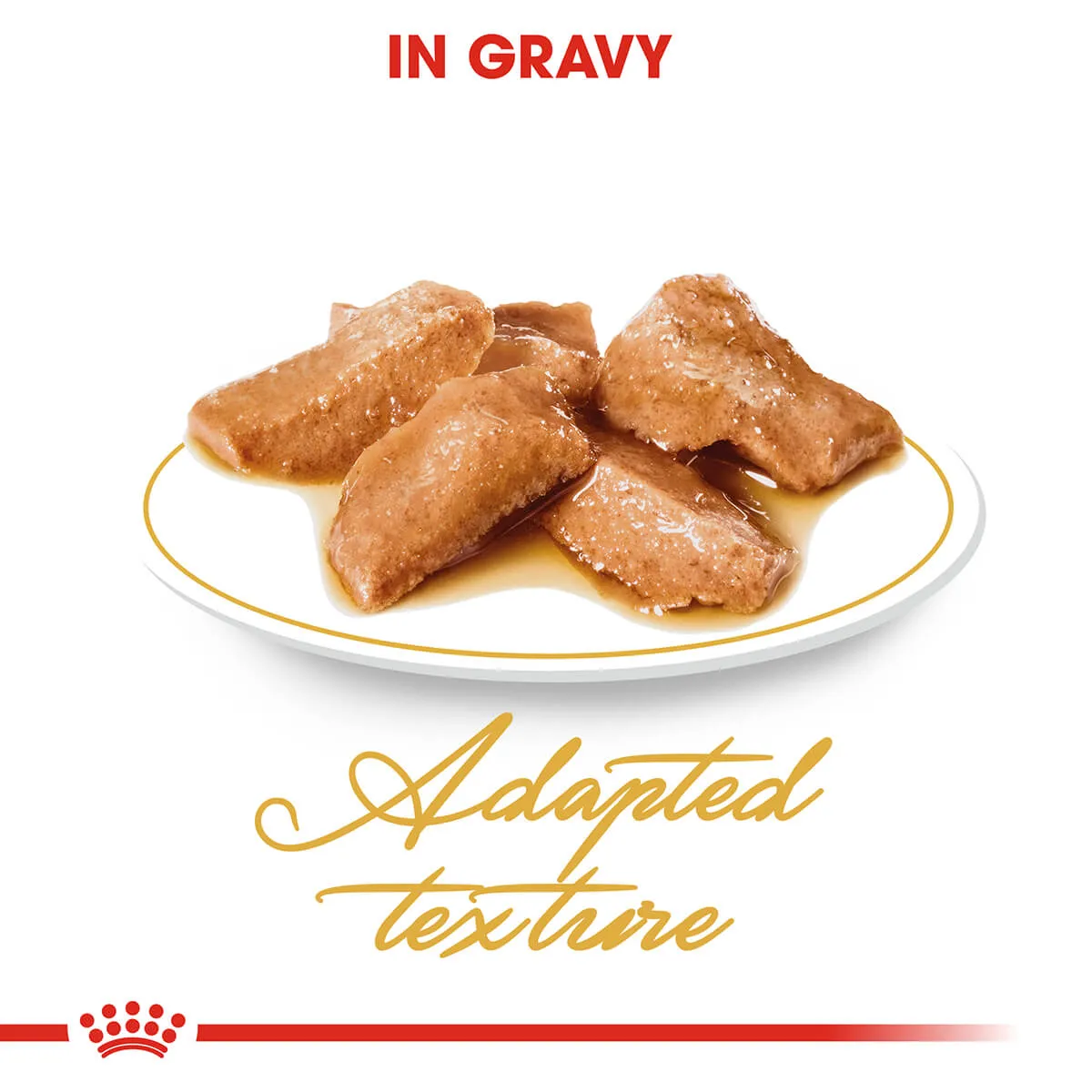 Royal Canin Maine Coon Adult In Gravy Wet Cat Food 85G