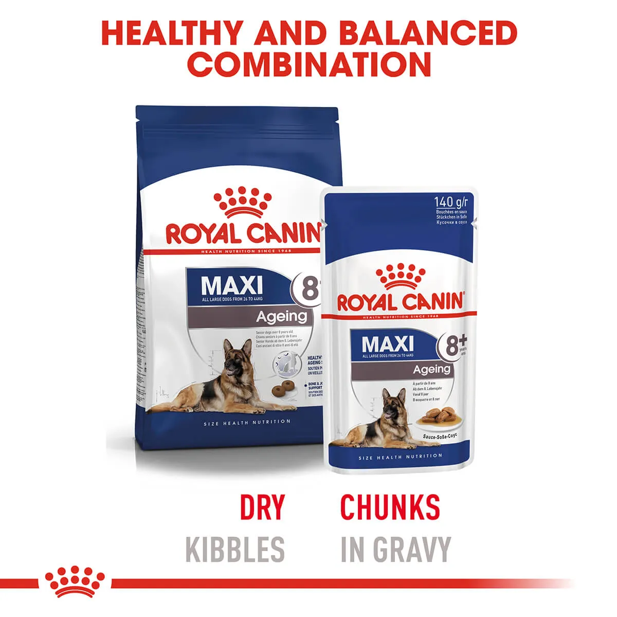 Royal Canin Maxi Ageing Senior Wet Dog Food