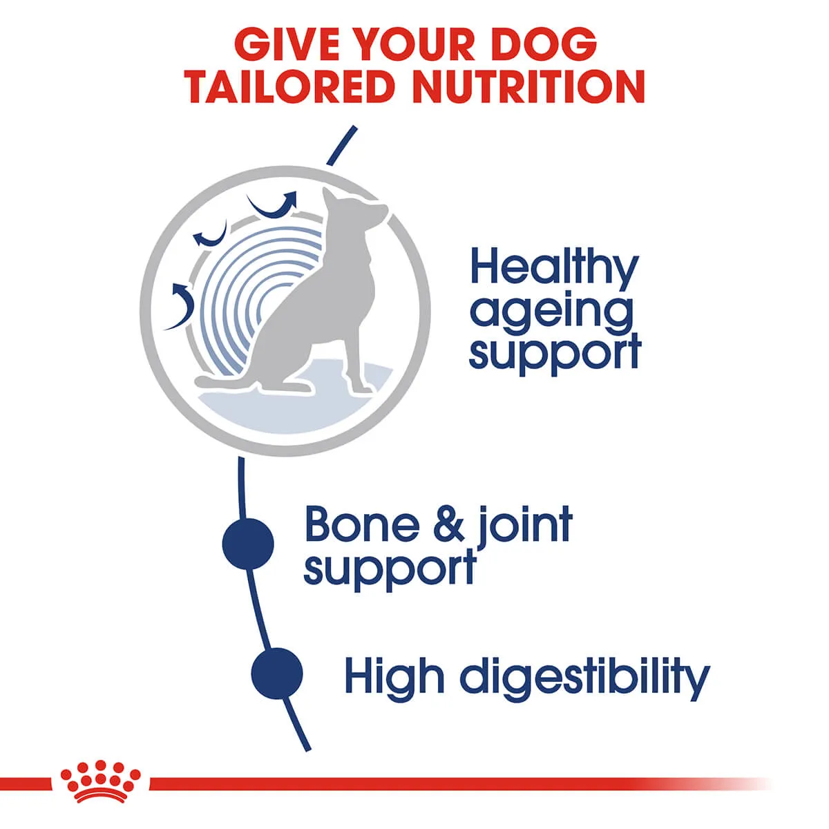 Royal Canin Maxi Ageing Senior Wet Dog Food
