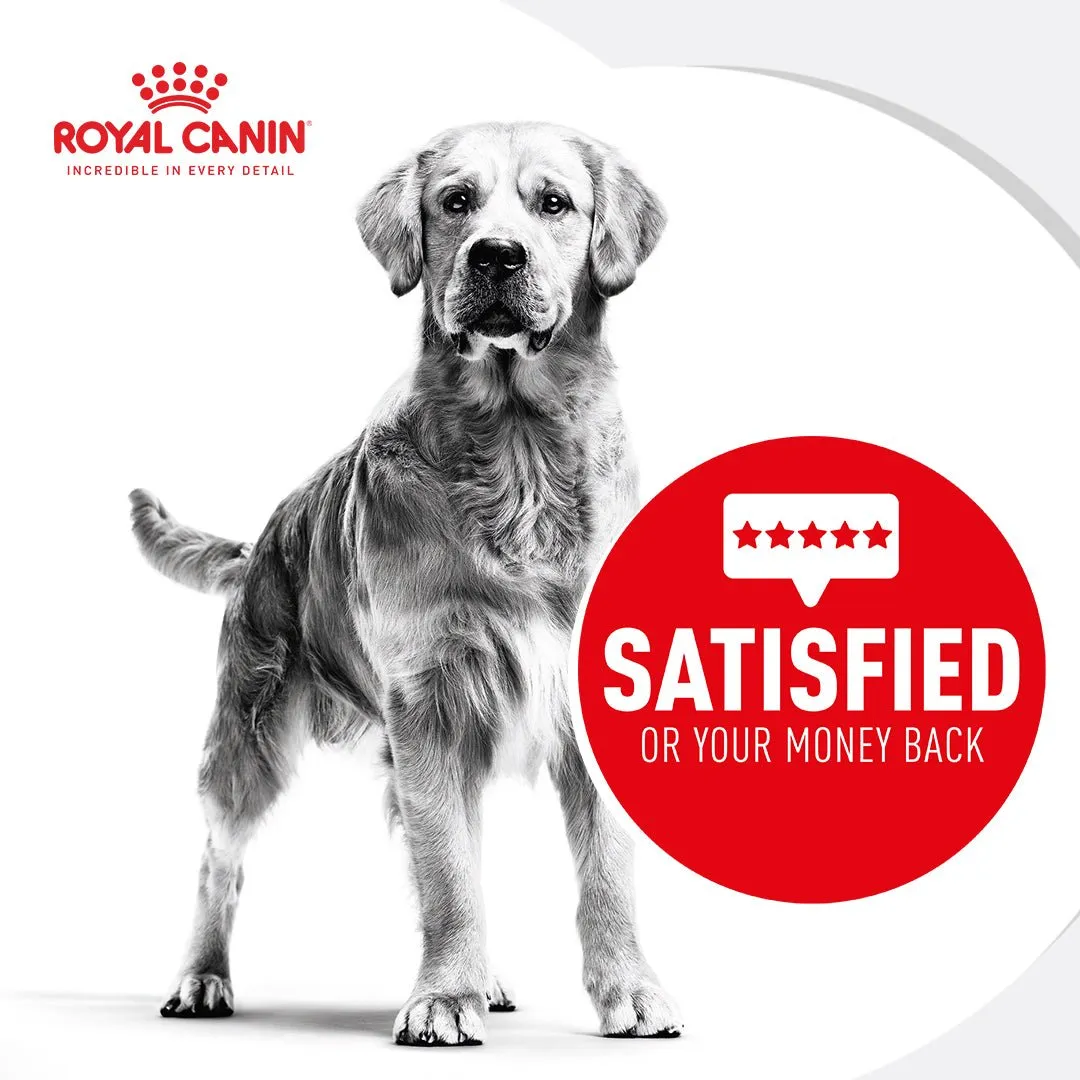 Royal Canin Maxi Ageing Senior Wet Dog Food