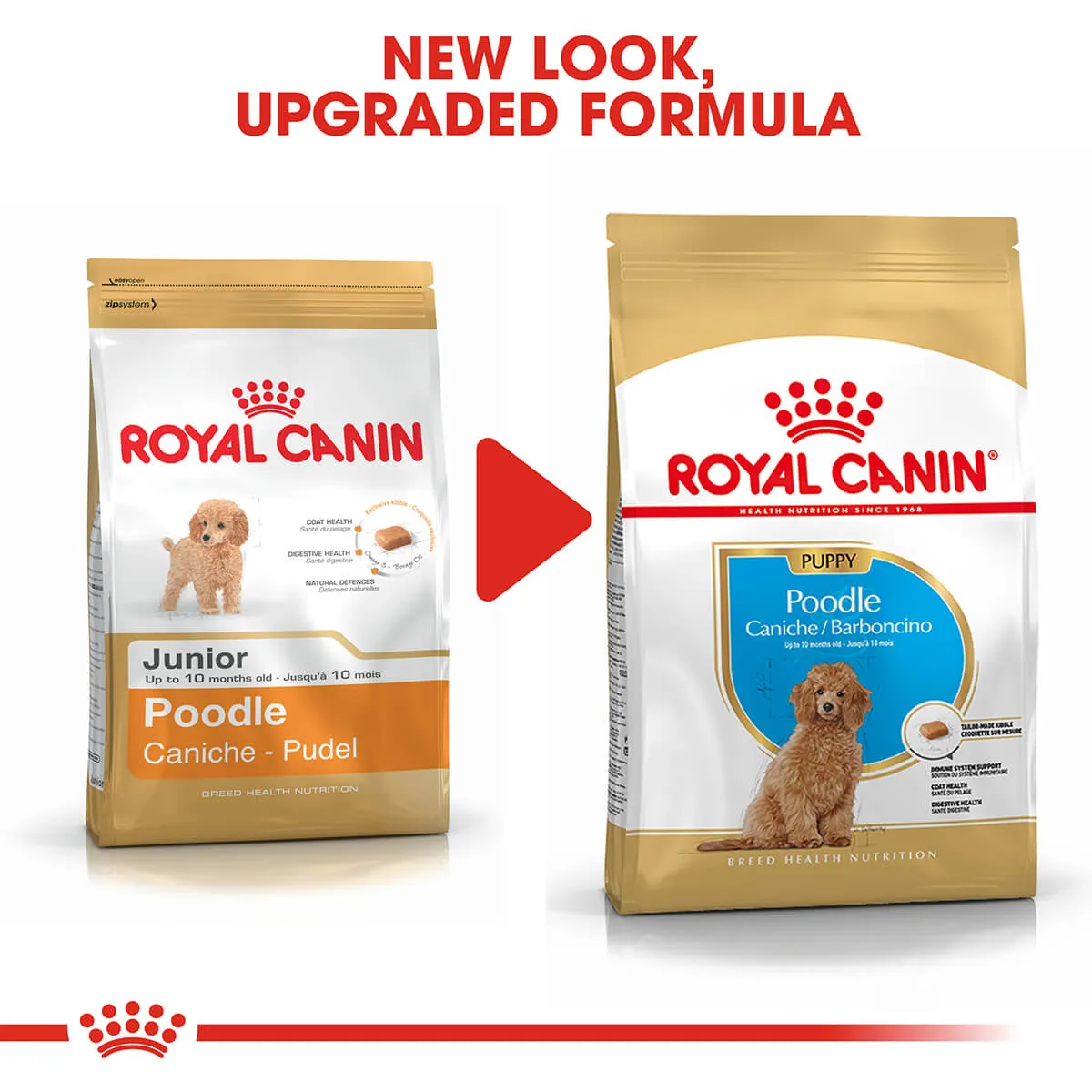 Royal Canin Poodle Puppy Dry Dog Food