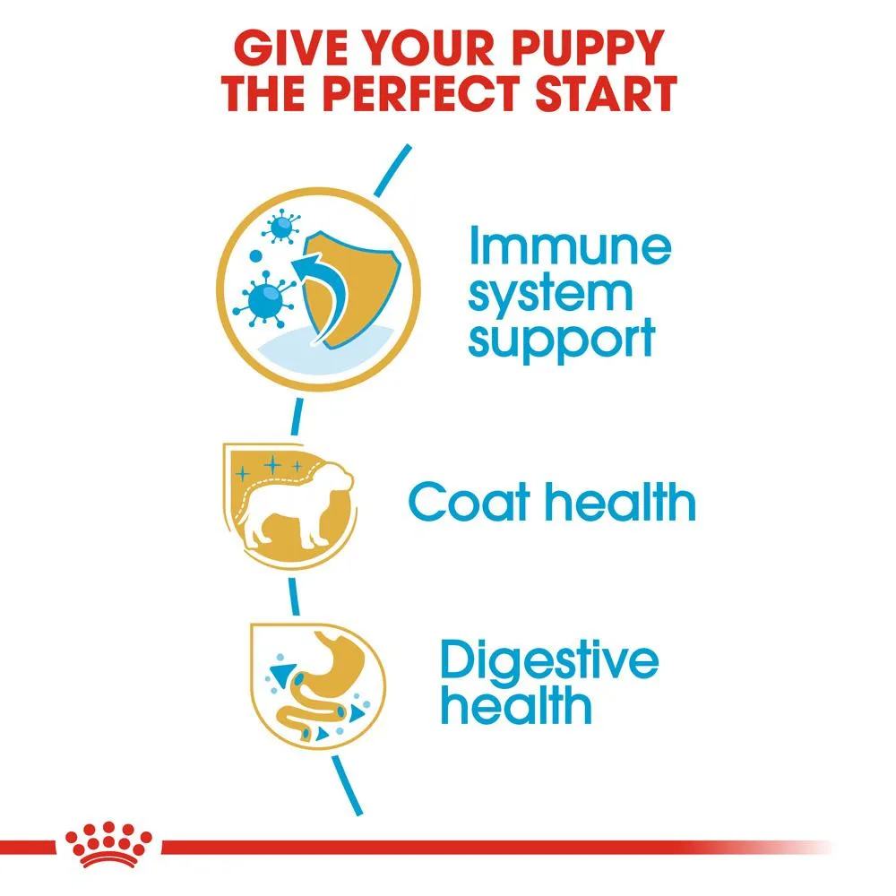 Royal Canin Poodle Puppy Dry Dog Food