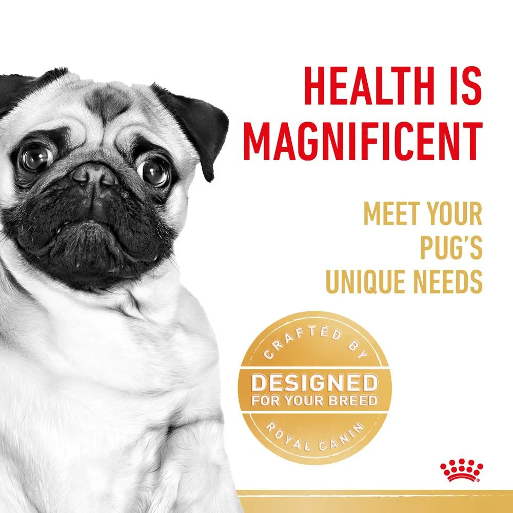 Royal Canin Pug Adult Dry Dog Food