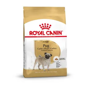 Royal Canin Pug Adult Dry Dog Food
